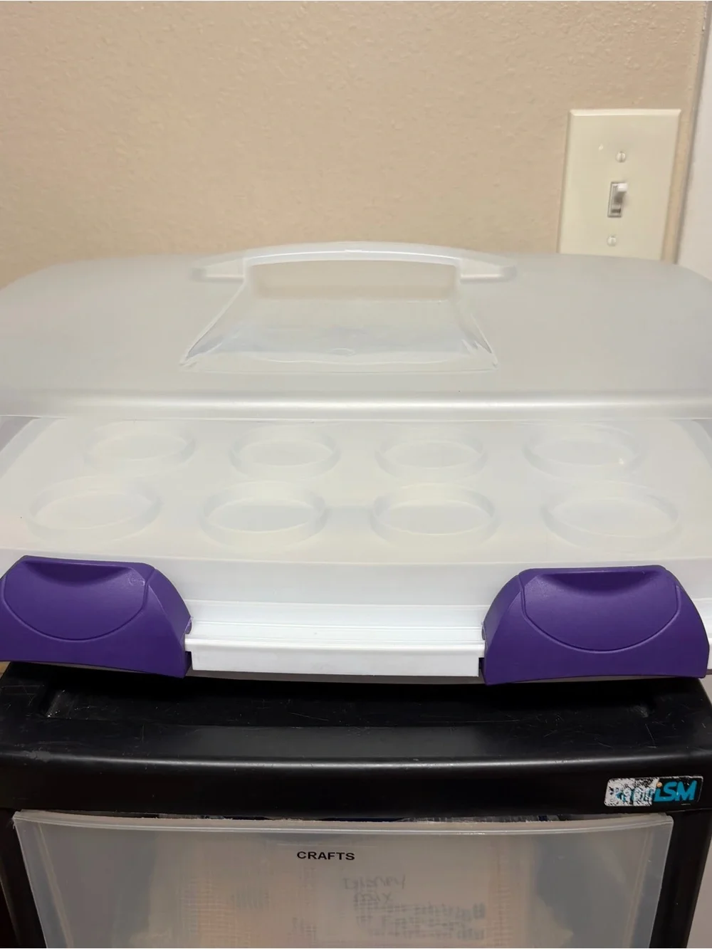 Wilton Cupcake Cake Carrier